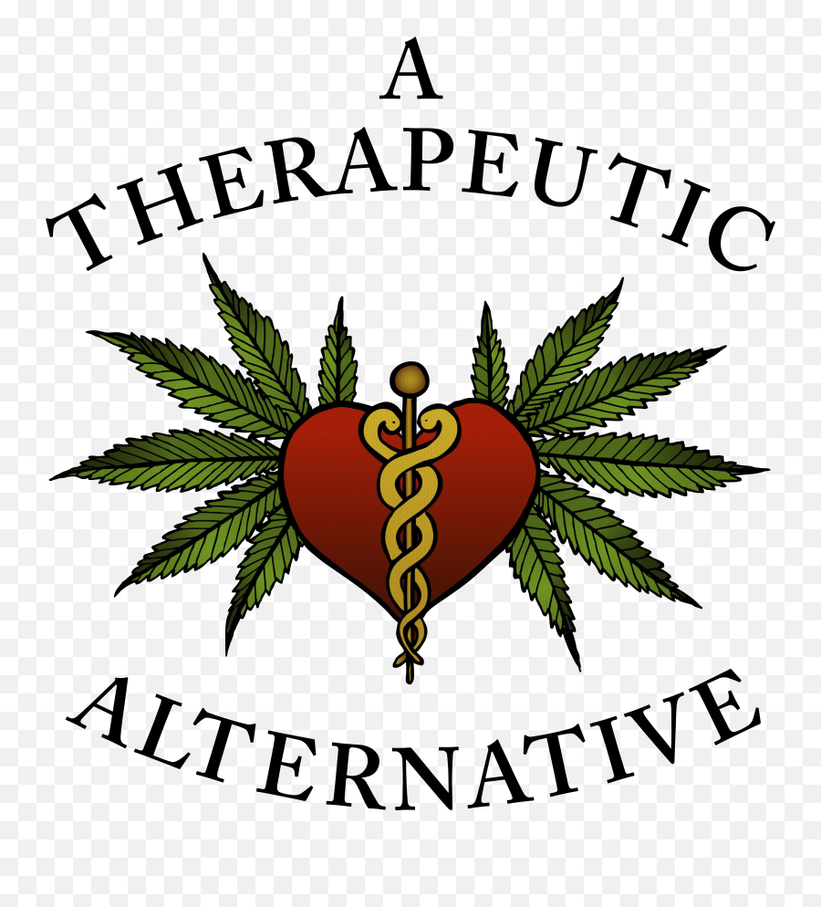 Shreku0027s Adventure Launch Brunch - Merlin Events London Amusement Park Png,Donkey Shrek Png