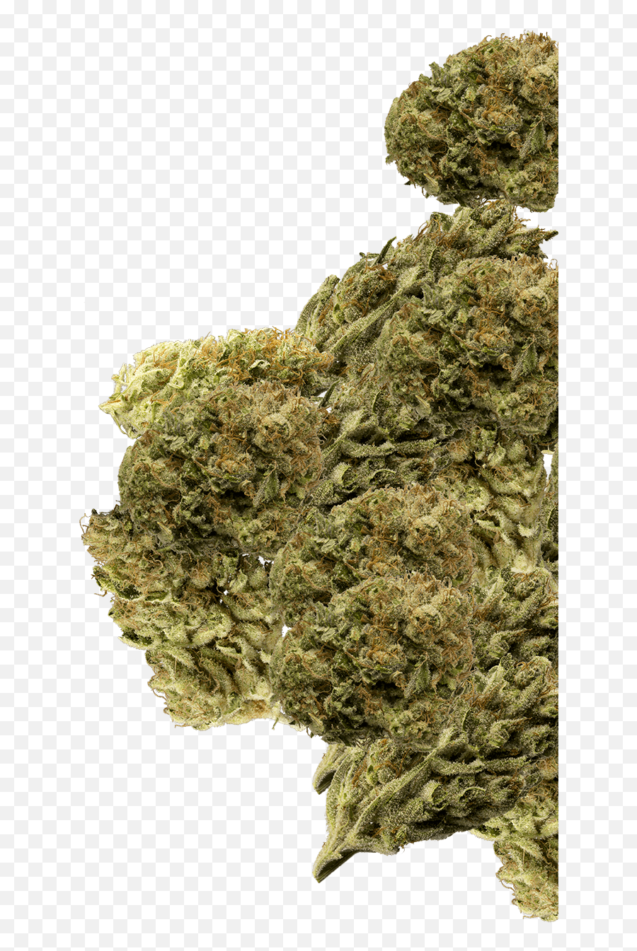 Neta Marijuana Dispensaries - Weed Top View Png,Weed Png