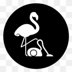 Cleanchris - Bird png
