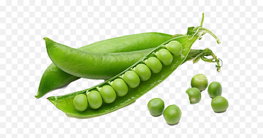 Green Beans Transparent - Peas Vegetable Png,Green Beans Png