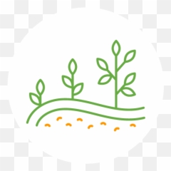 Chris Davis U2013 Chesapeake Bay Landscape Professional - Dot png