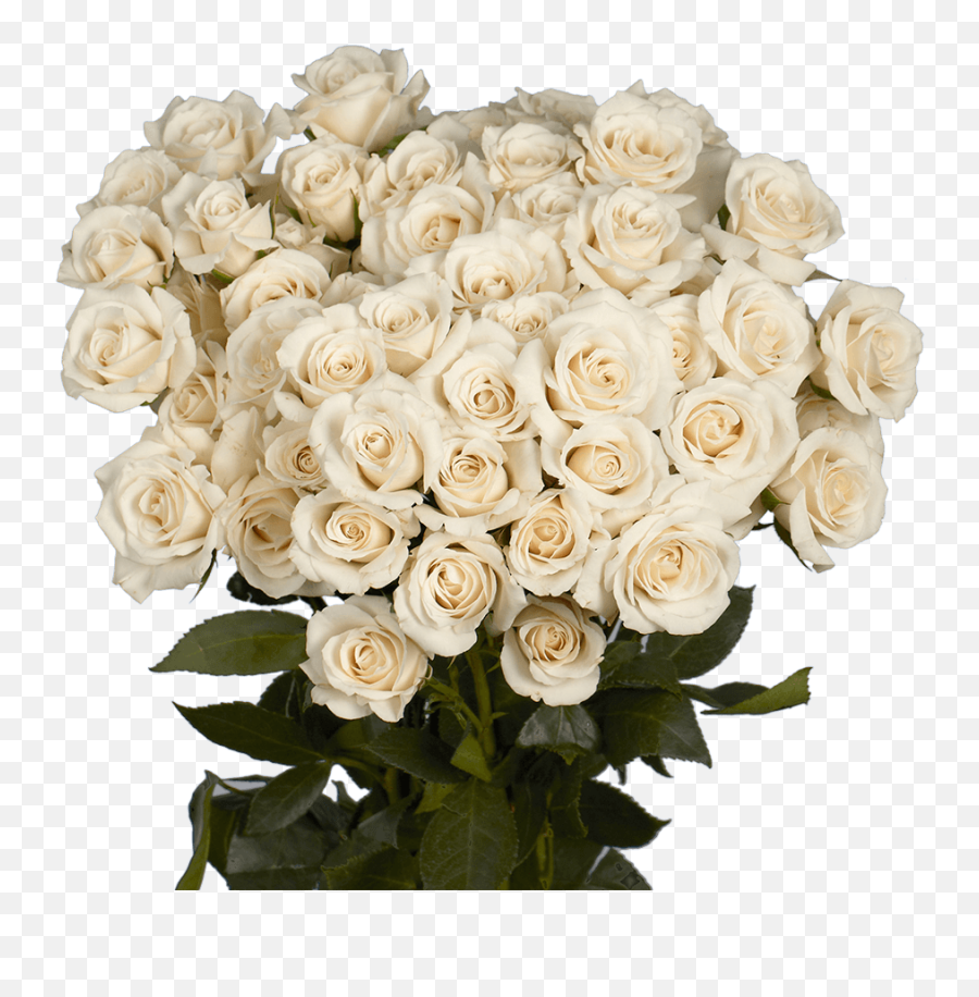 Send White Spray Roses - White Spray Rose Png,Vivacious Icon Suite