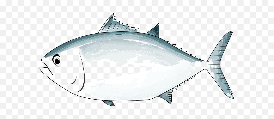 Tunas Fish Clipart Free Download Creazilla - Albacore Fish Png,Fish Clipart Transparent