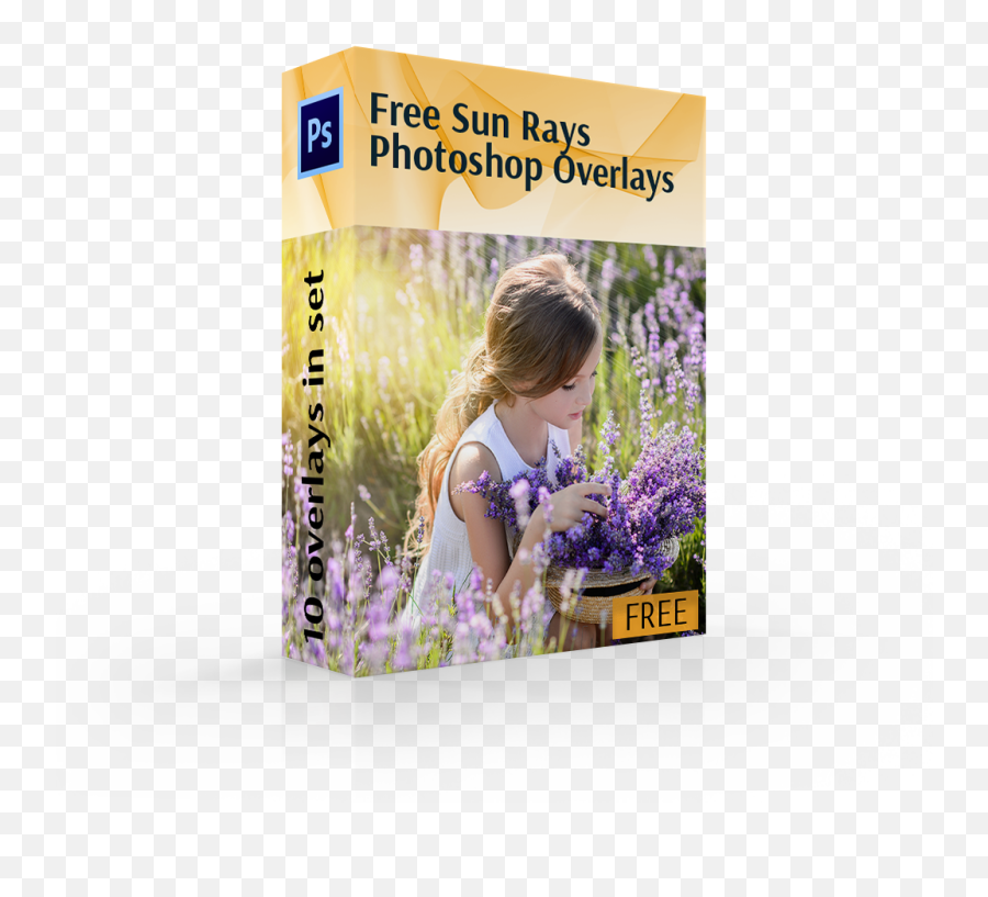 View More Free Sun Ray Overlays 10 Photoshop - English Lavender Png,Sun Beams Png