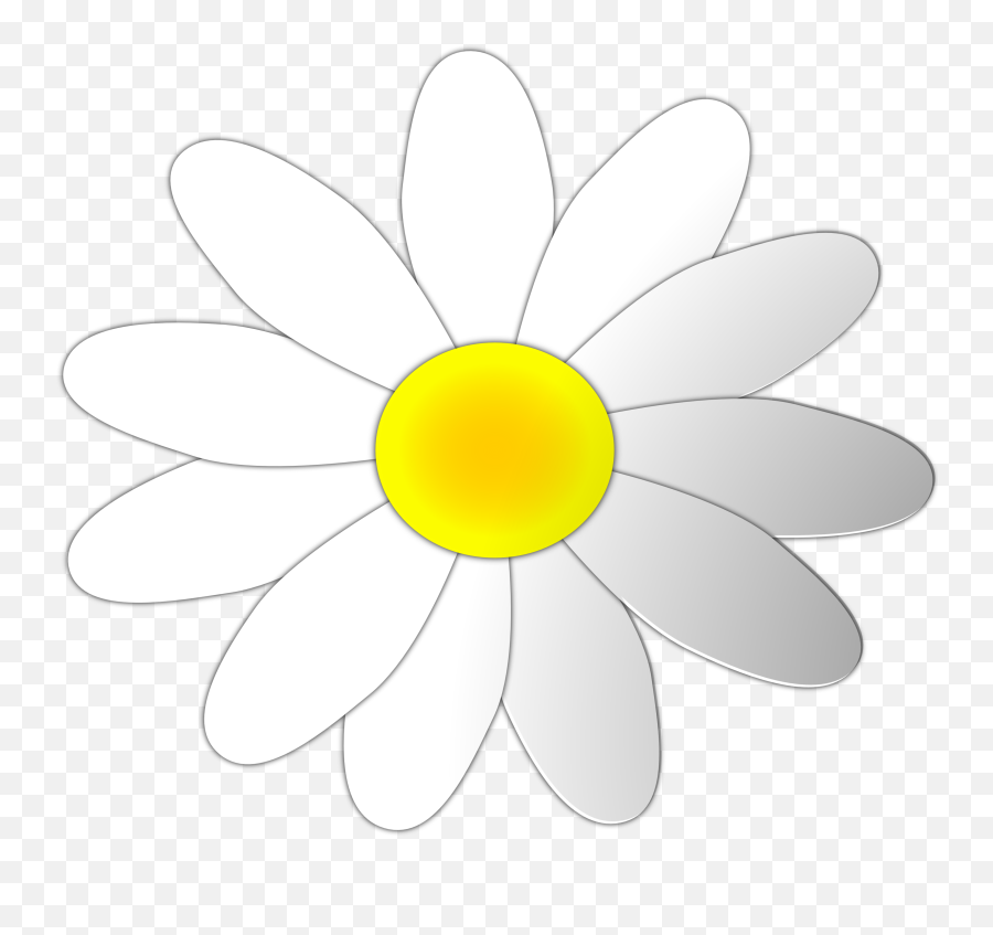 Cool Daisy Cliparts For Free - Daisy Png,Transparent Daisy