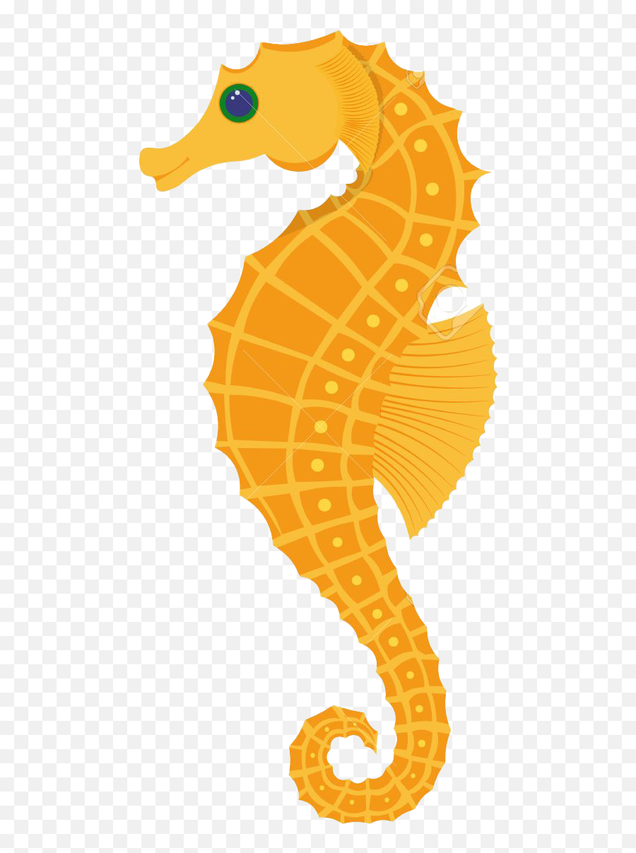 Seahorse Download Free Png Play - Seahorse Vector,Seahorse Icon