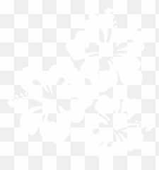 Hawaiian Flowers Png - White Hibiscus Clipart