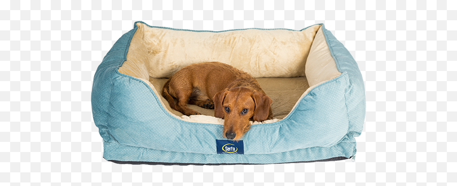 Serta Pet Beds Png Icon