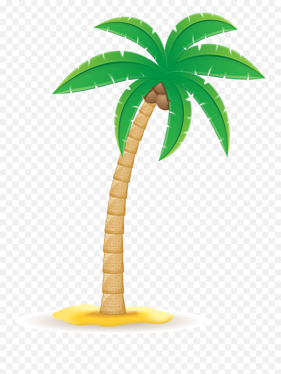 Coconut Arecaceae Clip Art - Coconut Tree Png Download Coconut Tree Vector Png,Coconut Png