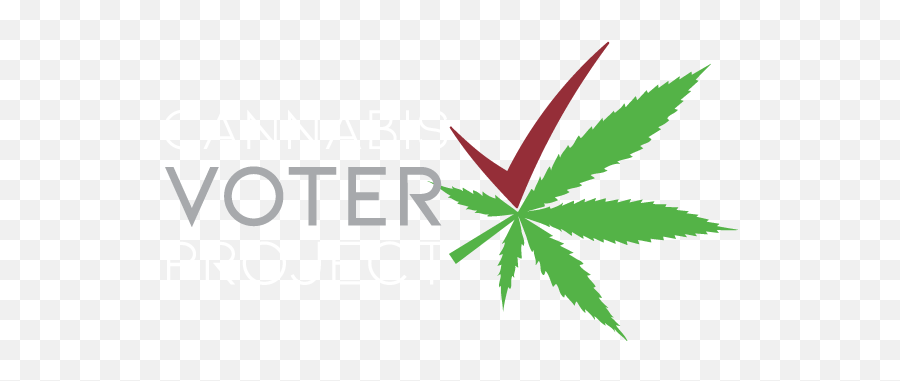 I Smoke Pot And Vote Tee Green - Cannabis Voter Marijuana Leaf Png,Weed Smoke Png