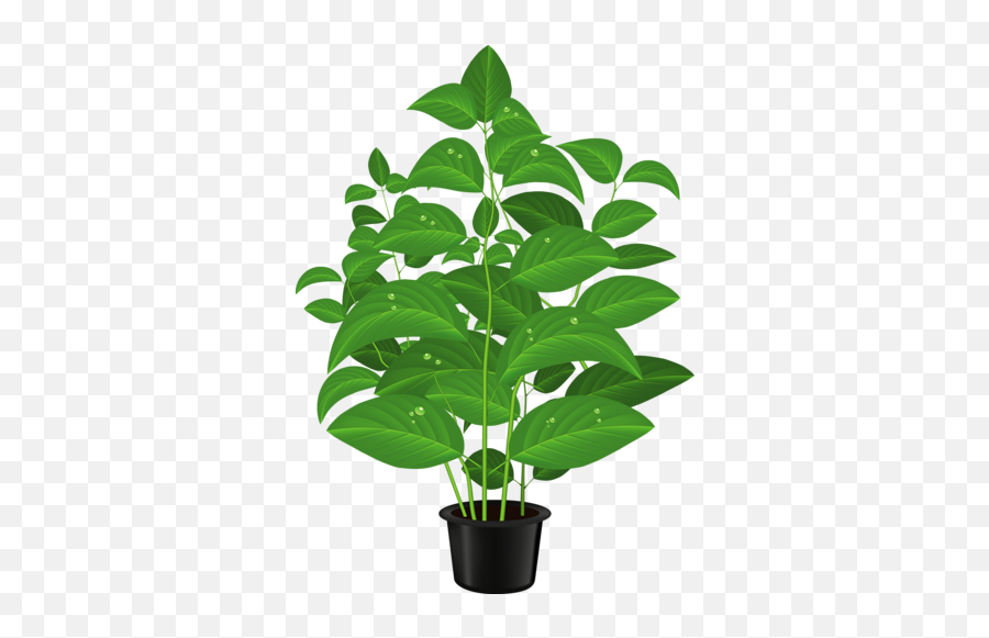 Tree Flower Png Clipart - Plant Clipart,Plant Clipart Png