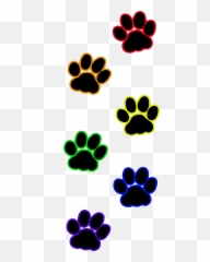 Cat Paw Print Transparent U0026 Png Clipart Free Download - YWD Prints Png
