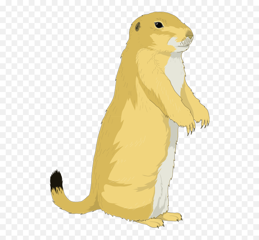 Download Squirrel To Use Png Image Clipart Free - Groundhog Day See Shadow,Squirrel Transparent Background