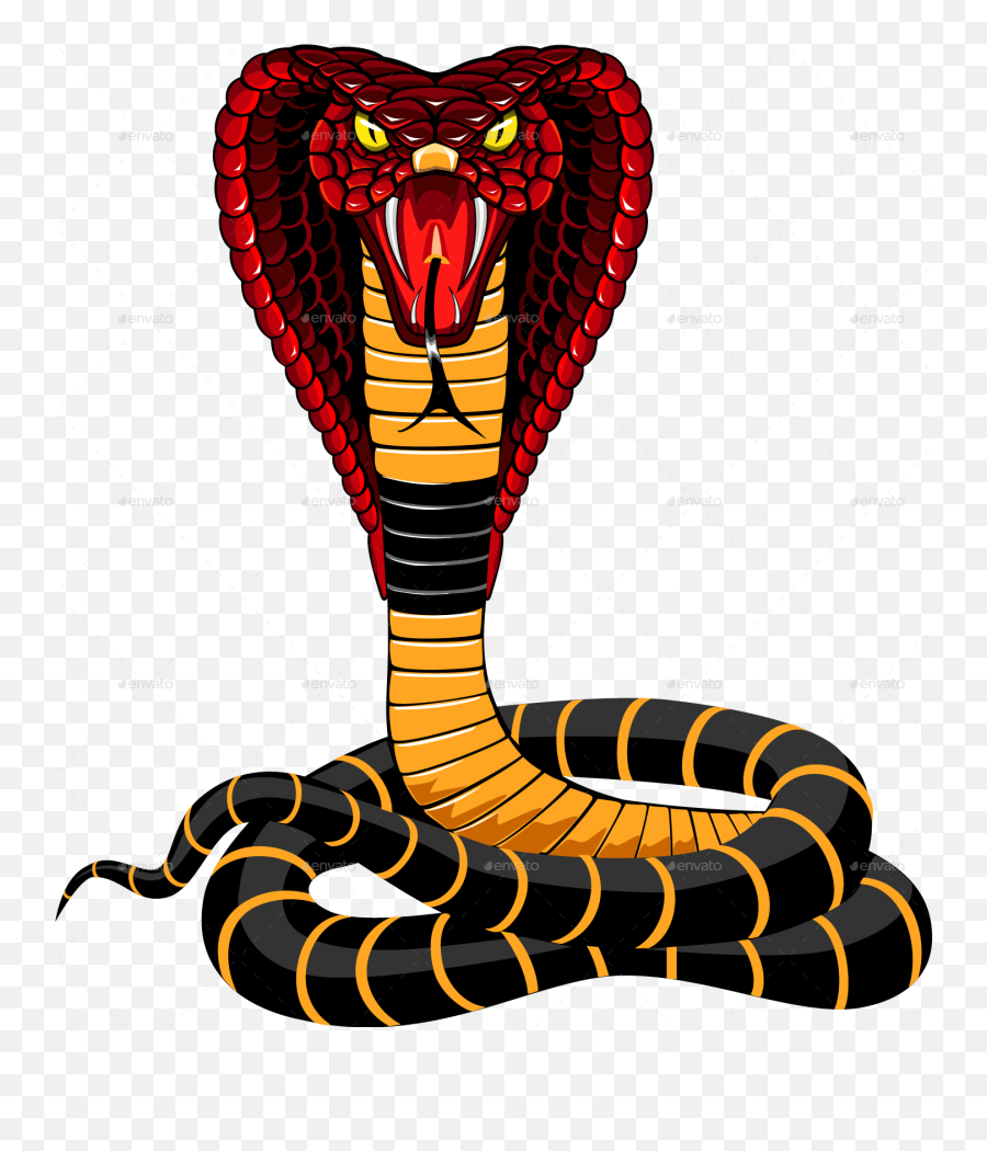 King Cobra Snake Png Clipart - King Cobra Snake Png,King Cobra Png