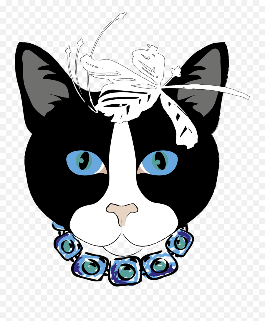 Cat Gata Animal - Free Vector Graphic On Pixabay Cat Png,Cats Png