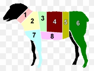 Lamb - Primal Cuts Of Lamb Png,Lamb Png