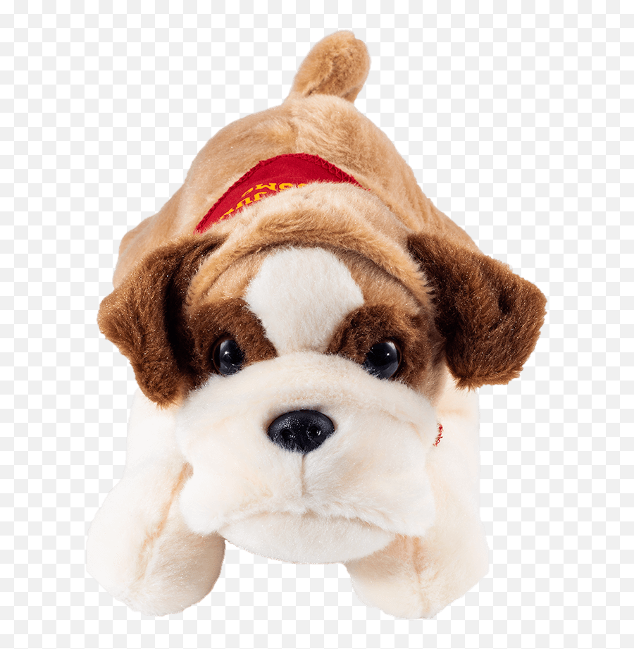Chesty Jr Bulldog Plush - Toy Bulldog Png,Bulldog Transparent