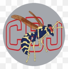 Columbus Blue Jacket Sticker Design By Alex - Illustration Png,Columbus Blue Jackets Logo Png