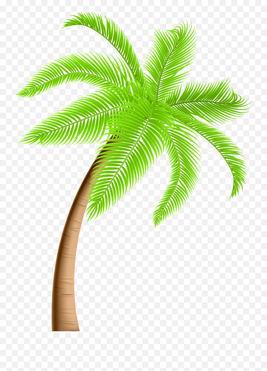 Library Of Palm Tree Jpg Freeuse - Transparent Background Palm Tree Png,Palm Trees Transparent
