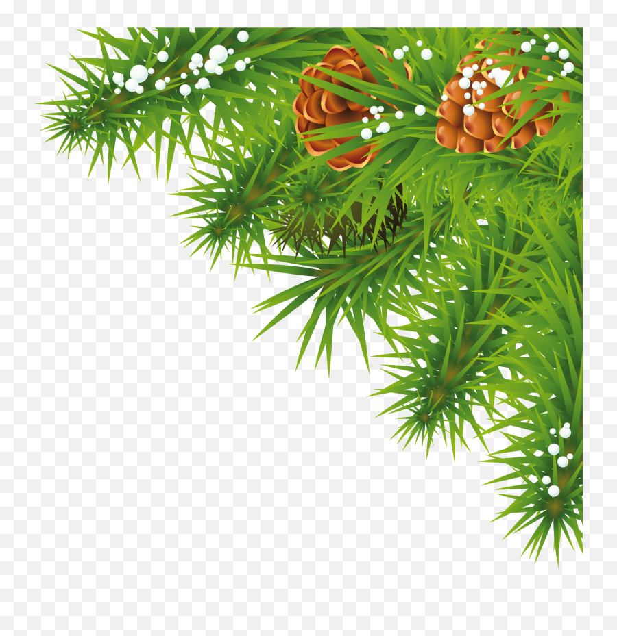 Download Fir Tree Png Image For Free - Christmas New Year Greetings,Trees Background Png