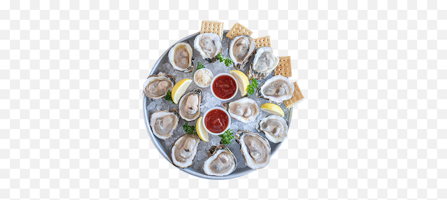Best Seafood - Tiostrea Chilensis Png,Oysters Png