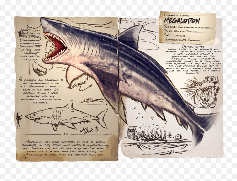 Megalodon - Official Ark Survival Evolved Wiki Megalodon Ark Survival Evolved Png,Great White Shark Png