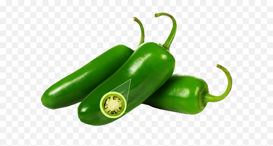 Chile Jalapeño - Chile Jalapeño Png,Jalapeno Png