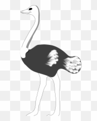 Ostrich Png Svg Clip Art For Web - Clip Art Ostrich,Ostrich Png