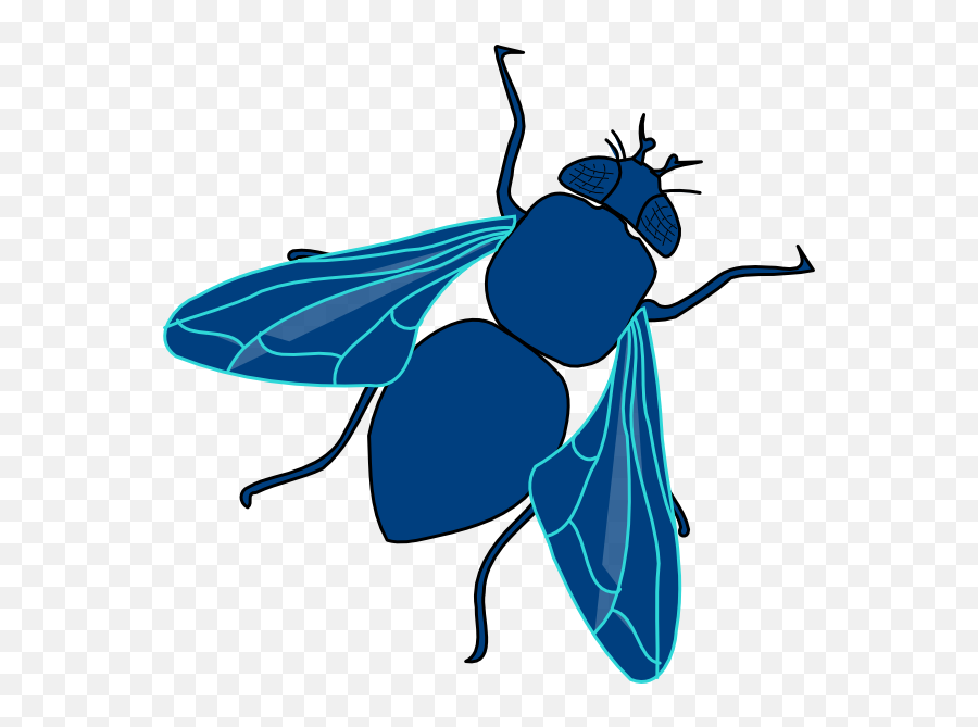 Download Fly Png Transparent Image Clipart