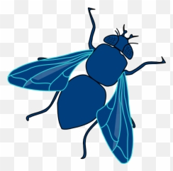 Download Fly Png Transparent Image
