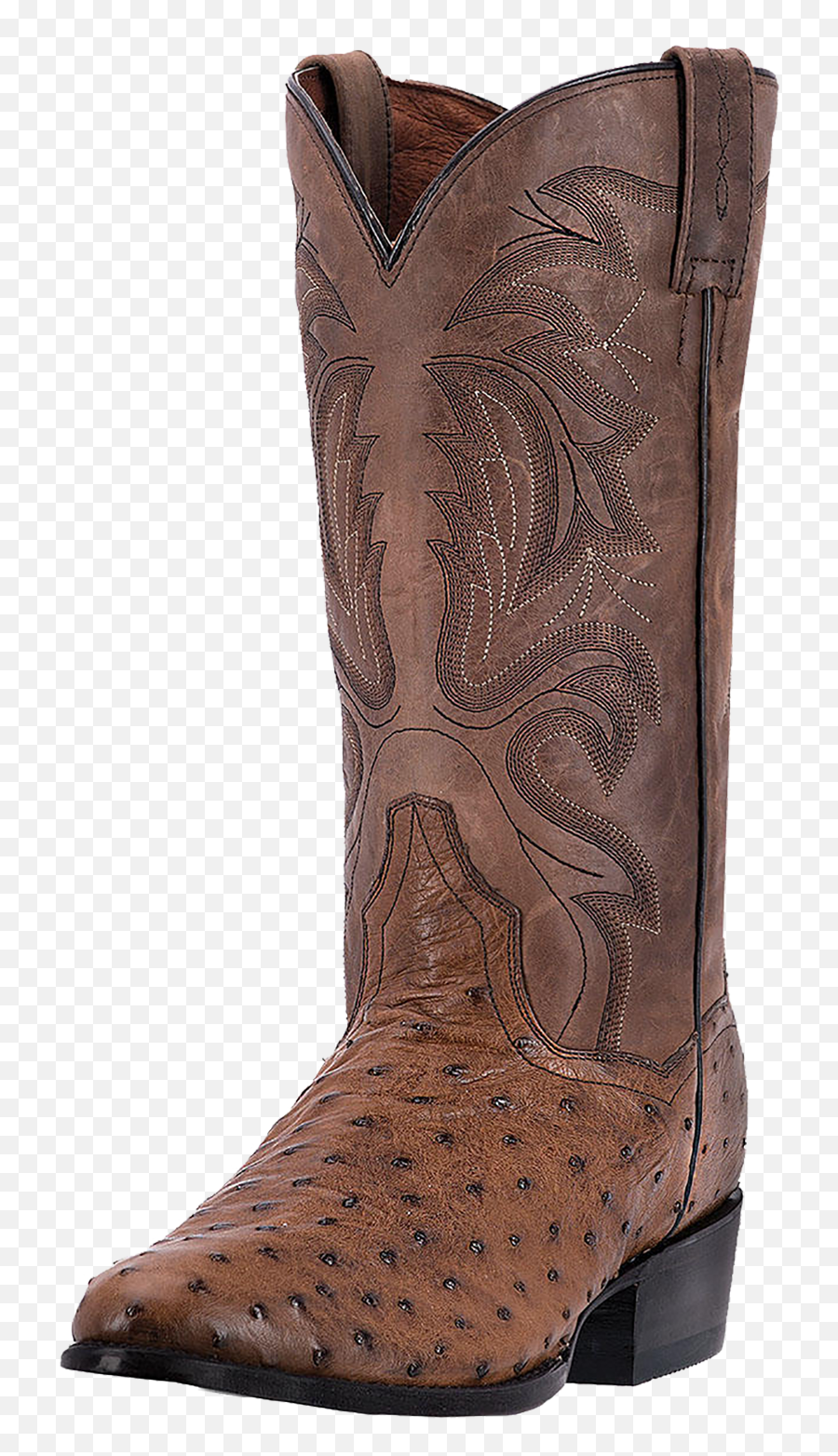 Tempe Ostrich Cowboy Boot Png