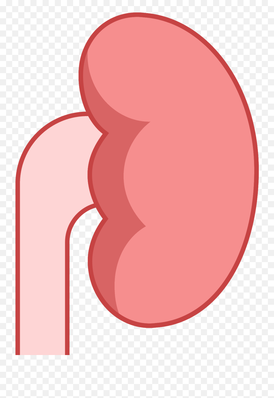 Download Thumb Image - Emoji For Kidney Hd Png Download Dot,Kidney Png