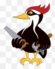 Memberu0027s Pages U2014 The Woodpeckers Guild - Cartoon Png,Woodpecker Png
