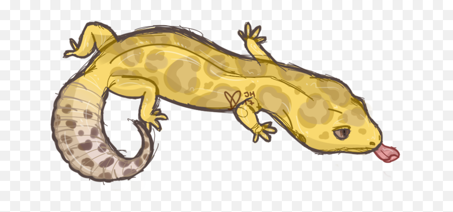 Leopard Gecko Doodle Transparent Png - Leopard Gecko Doodle,Leopard Gecko Png
