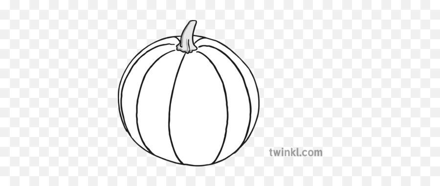 Pumpkin Black And White 1 Illustration - Twinkl Fresh Png,Calabaza Png