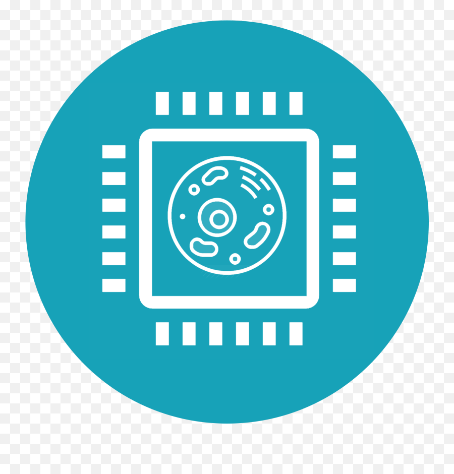 Drive - Central Processing Unit Png,Drug Development Icon