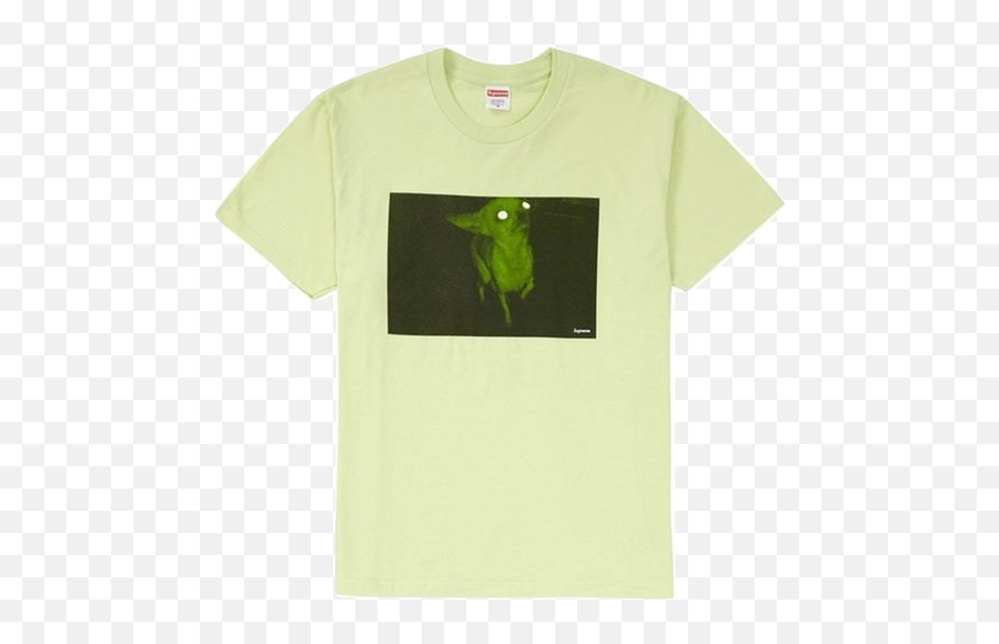 Supreme Chris Cunningham Chihuahua Tee - Pale Mint Used Grasshopper Png,Supreme Shirt Png