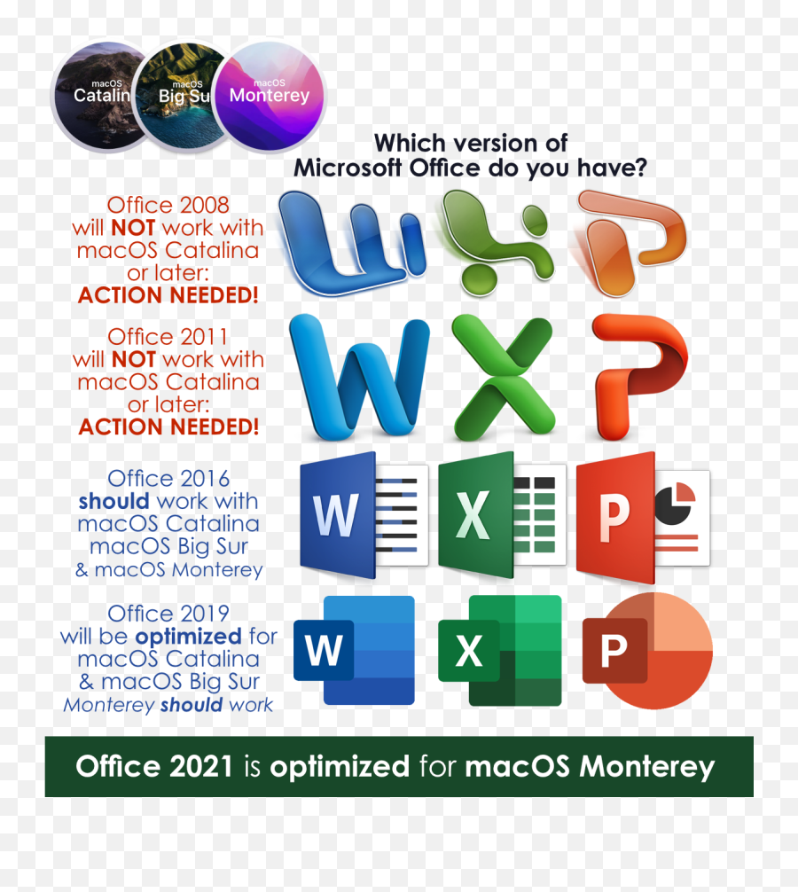 Macos Catalina Big Sur U0026 Monterey Incompatible With - Office 2019 Icons Png,Microsoft Office 2010 Logo Icon