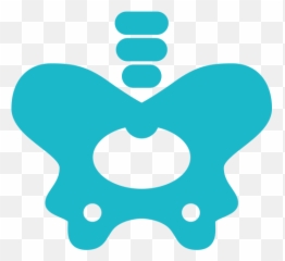 Platinum Orthopaedics - Hip Bone Svg png