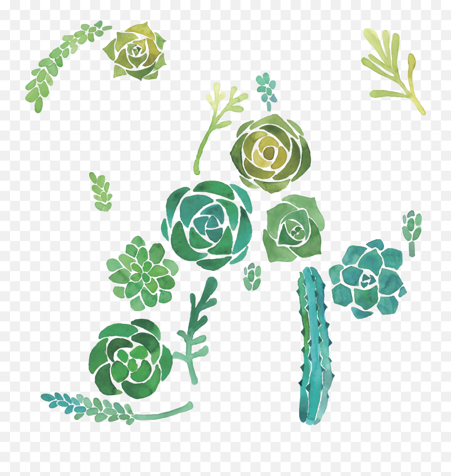Download Hd Cactaceae Watercolor Painting Succulent Plant - Watercolor Cactus White Background Png,Watercolor Cactus Png