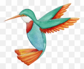 Humming Bird Books - Hummingbird Png,Humming Bird Png