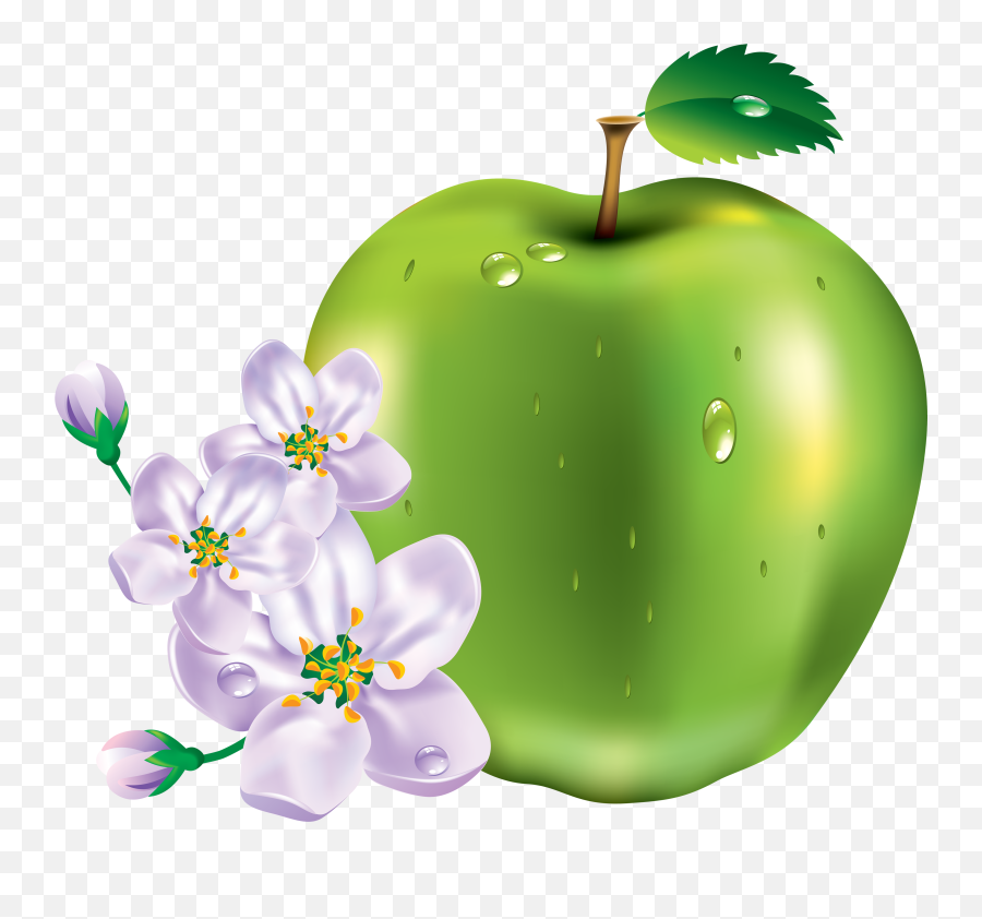 Apple Png Images Free Download - All Kinds Of Fruits,Apple Clipart Transparent Background