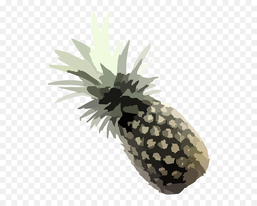 Pineapple Plant Tropical - Free Vector Graphic On Pixabay Pineapple Png,Pinapple Png