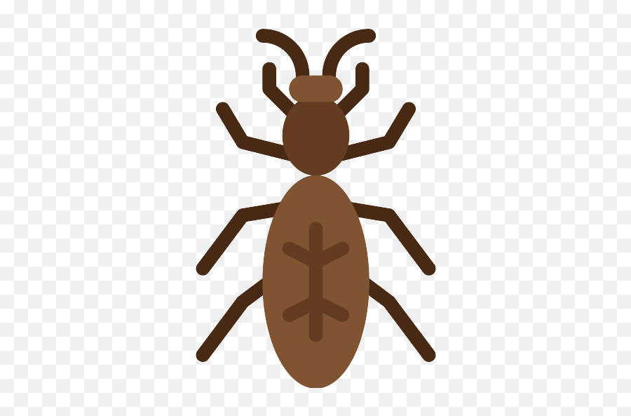 Ant Png Icon - Ant,Ant Png