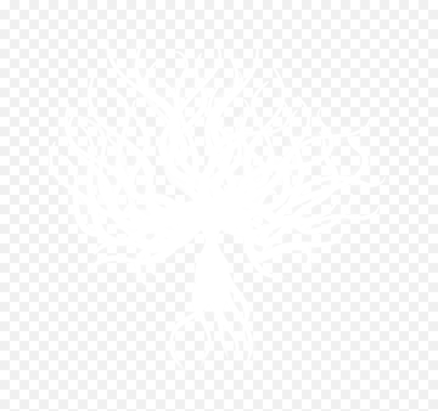 Hollow Knight White Lady Transparent - Hollow Knight Godmaster White Lady Png,Hollow Knight Png