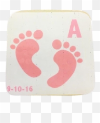Download Hd Custom Baby Cookies - Pink Baby Feet Clipart Pink And Blue Footprints Png,Baby Feet Png