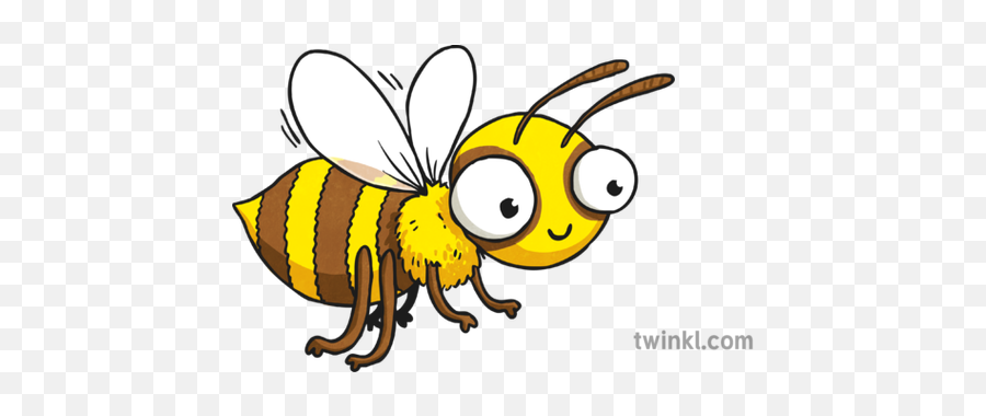 Cartoon Bee Illustration - Twinkl Bee Png,Cartoon Bee Png