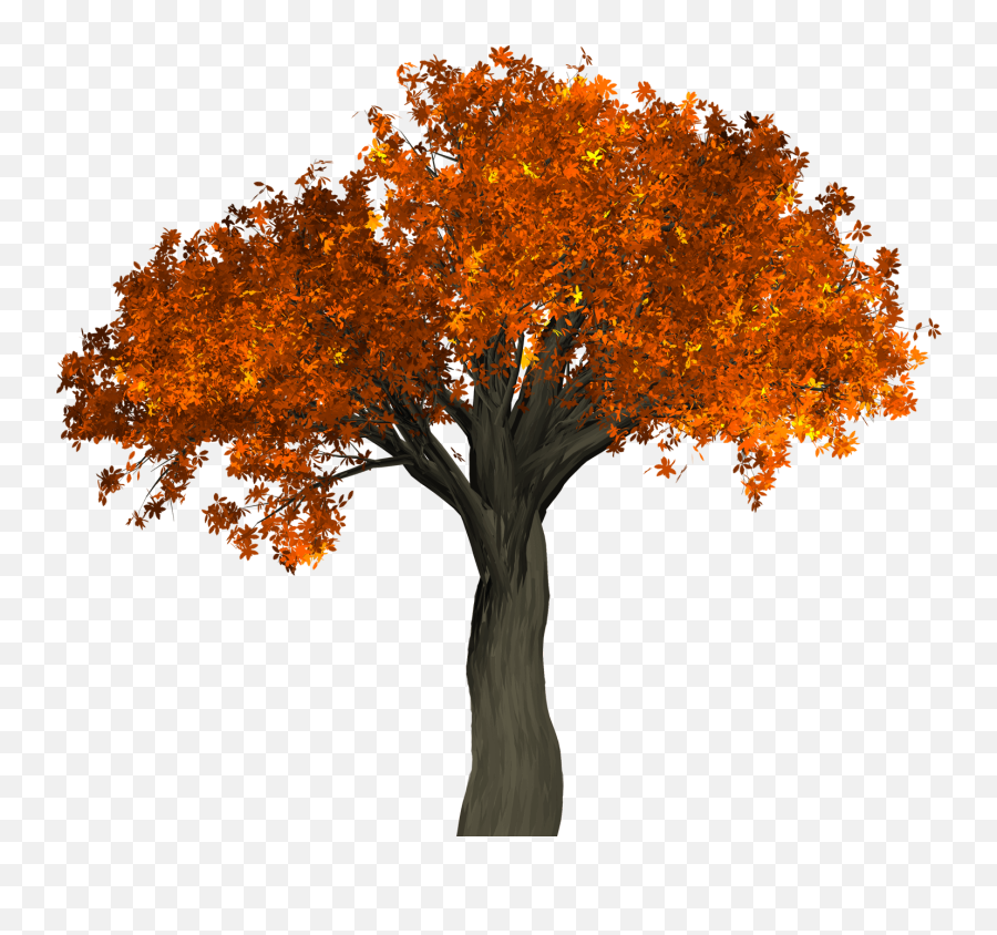 Tree Logo Png U2013 Logos Brands And Logotypes - Transparent Background Autumn Tree Png,Transparent Tree Images