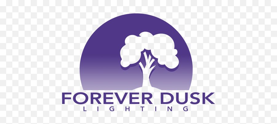 Lights Ontario Forever Dusk Lighting - Tree Png,Clear Png
