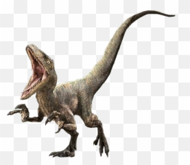 Velociraptor Charlie Transparent Png - Jurassic World Velociraptor Delta,Velociraptor Png